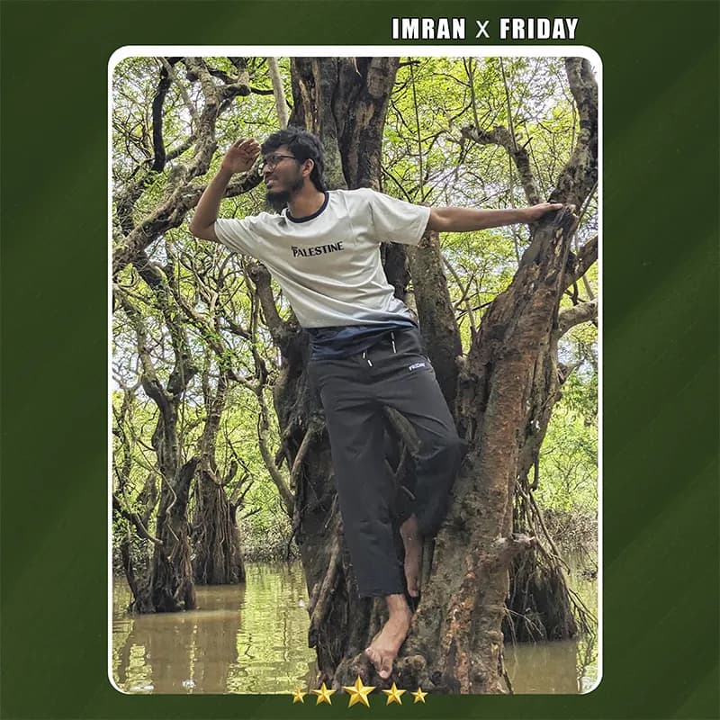 REVIEW OF IMRAN
